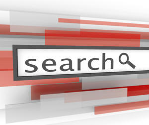 Search for a domain